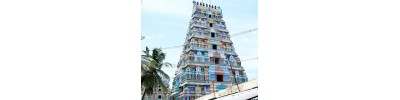 புன்னை நல்லூர் மாரியம்மன் - தமிழ்நாடு